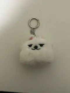 txt プルバトゥ スビン ヨンモン フェイスキーリング キーリング