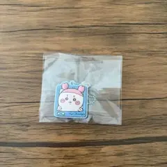 ちいかわぷっくりラバマスグミ4 古本屋 カニちゃん