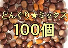 どんぐり★ミックス100個
