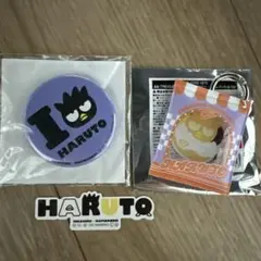 TREASURE ハルト 缶バッチ ステッカー　キーチャーム