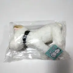 2025年最新】アランジアロンゾ ぬいぐるみ てつの人気アイテム - メルカリ