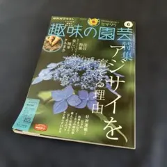 Item thumbnail for item 7194a628-461b-4f82-8bac-6cc7b2da8493