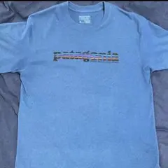 Patagonia”Text Logo Responsibili-Teeのサムネイル