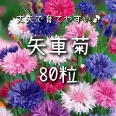 ありぱん、様 リクエスト 2点 まとめ商品