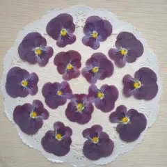 ＳＨＩＨＯ様 リクエスト 3点 まとめ商品