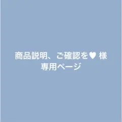 専用ページ