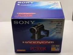 2025年最新】sony handycam dcr-pc300の人気アイテム - メルカリ