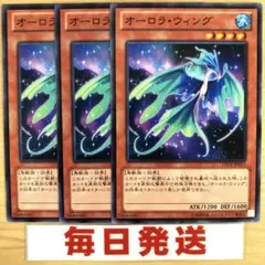 オーロラウィング 3枚