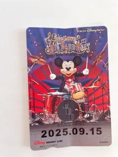 東京ディズニーリゾートライン リゾラ チケット フリー 1日パス