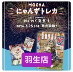 MOCHA にゃんずトレカ わくわく夏祭り 羽生店 MOCHA にゃんずトレカ わくわく夏祭り 羽生店 - メルカリ