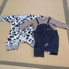 Item thumbnail for item 76dd67b6-c771-4e28-984d-797a625eb4bf