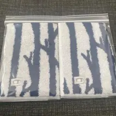 ハウスタオル　Twiggy ハンド　2枚　スコープ