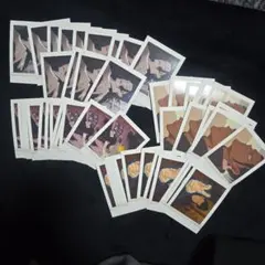 呪術廻戦 夏油 パシャこれ 58枚 セット