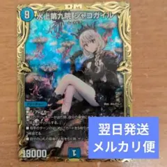 2025年最新】シャコガイルbの人気アイテム - メルカリ