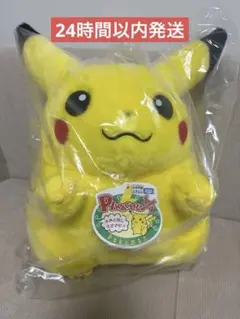 ポケモン30周年記念おかえり!ピカチュウ1/1