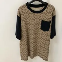 【大人気】コーチ　シグネチャー　Tシャツ L 美品のサムネイル