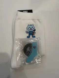 京都ハンナリーズ バスケットボール