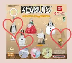 【新品】PEANUTS めじるしアクセサリー FUNNY　3個セット