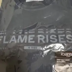 LE SSERAFIM FLAME RISES クロップTシャツ L