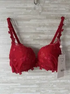 B70」トリンプ フロラーレ クリスマスローズの花 ブラジャー