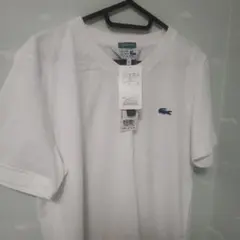 【LACOSTE×SHIPS】新品未使用 ホワイト Tシャツ サイズ2