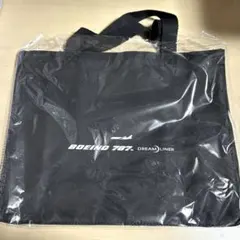 【新品未使用】値下げ可　ANAトートバッグ　即日発送