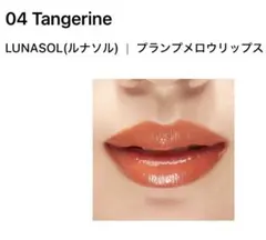 LUNASOL プランプメロウリップス 04 タンジェリンのサムネイル