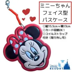 【値下げ不可】パスケース東京ディズニーリゾート/ミニーちゃんフェイス型