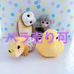 2026年最新】ピグミーマーモセットの人気アイテム - メルカリ