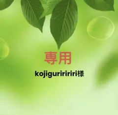 黒法師　多肉植物　アエオニウム 抜き苗3点セット