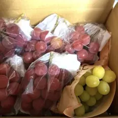 mango様専用クィーンニーナシャインマスカット