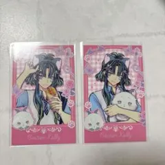 あくねこ バスティン テーマパーク チェキ風カード