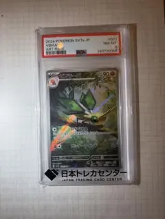 PSA 8ビブラーバ AR