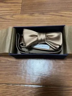 DRESS THE LIFE 蝶ネクタイ 新郎向け