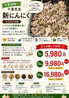 千葉県産 にんにく 10キロ 千葉県産 にんにく 10キロ - メルカリ