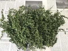 Item thumbnail for item 365a3476-0815-424b-8a1a-4e1c397d0267