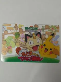 PokePark 2005 ピカチュウの森 アドベンチャーカード - メルカリ