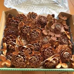 箱満杯　大きめシダーローズ23ツバキの殻15 ドライフラワー　クリスマスリース