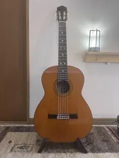 ギター Prudencio Saez Mod145 プルデンシオ サエズ 145 - メルカリ