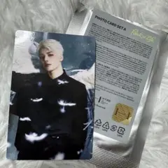 &TEAM back to life 韓国POP-UP トレカ【MAKI】