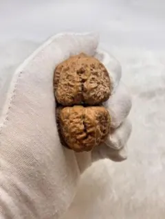 大耳朵图图核桃 文玩 クルミ 遊び胡桃 文玩核桃 形良い 36mm大きめ｜Yahoo!フリマ（旧PayPay