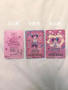 ミニー@ファンダーランド ミニー リゾートライン リゾラ ミニーの日