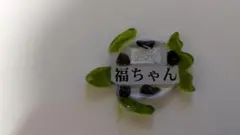 カメ型マグネット 福ちゃん