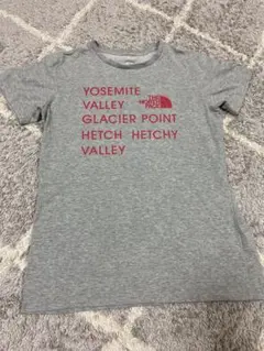 THE NORTH FACE Tシャツ Lサイズ ライトグレー