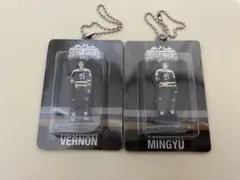 ミンギュ バーノンSEVENTEEN's HOME 2025 アクキーセット