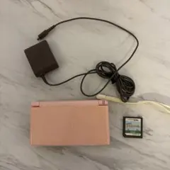 ニンテンドーDS Lite本体　おいでよどうぶつの森セット　純正充電器付き