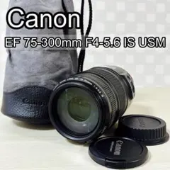 2025年最新】EF 75-300mm F4-5.6 isの人気アイテム - メルカリ