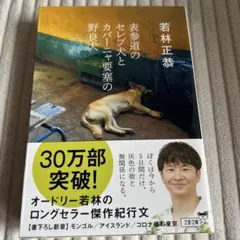 表参道のセレブ犬とカバーニャ要塞の野良犬 若林正恭 文春文庫