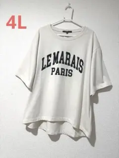 大きいサイズ 新品 フロッキーTシャツ 4L