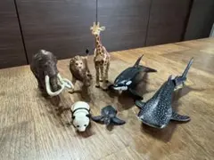 アニア　フィギュア7体セット